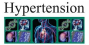 Hypertension logo
